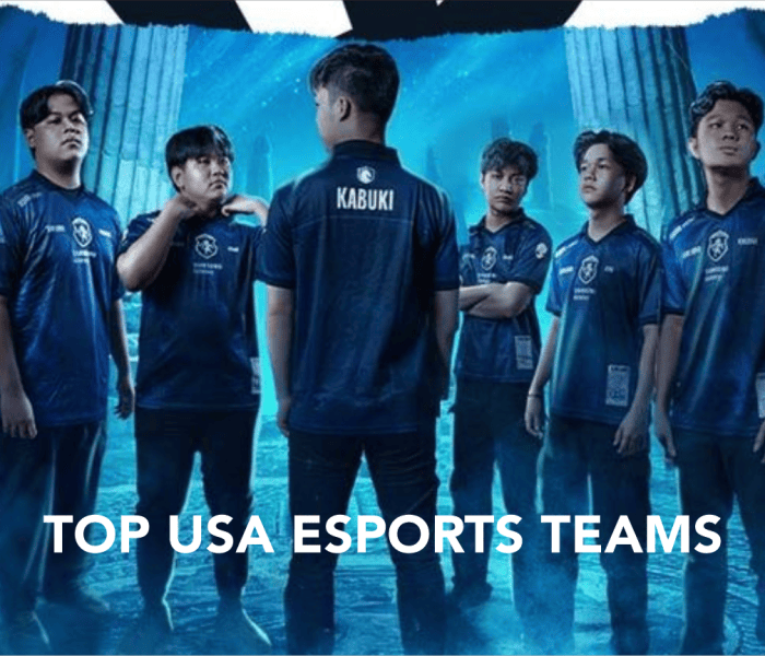 Top USA Esports Teams: Rankings & Prize Money Won