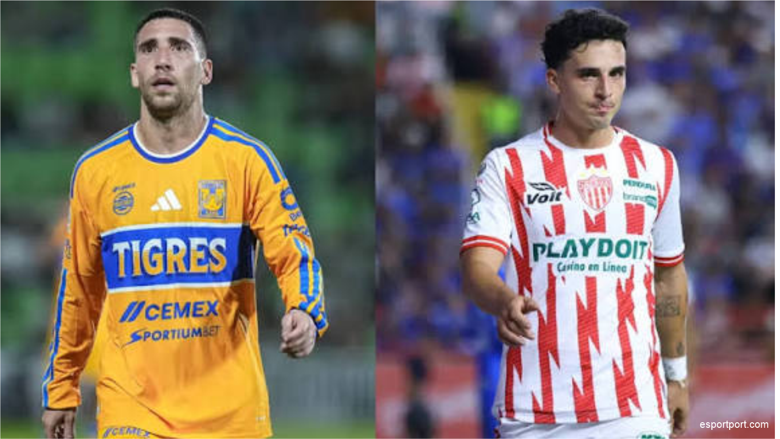 Tigres vs Necaxa Liga MX: 1-1 Draw Match Highlights & Stats